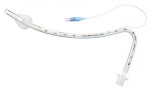 טובוס נזל CURVED HIGH V 119 מידה IVORY  1/10 7.5