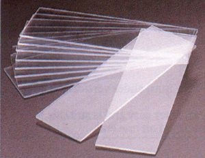 זכוכית נושא למיקרוסקופ 50 יח'