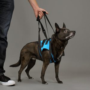 Mobility Harness Front HF-ML רתמת הרמה קדמית KVP