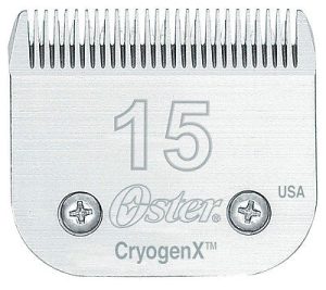 ראש לאוסטר מס' 15