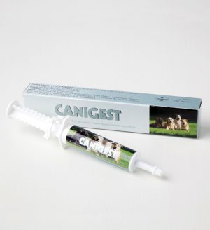 קניגסט 30 מ"ל-פרוביוטיקה לכלבים וחתולים-TRM