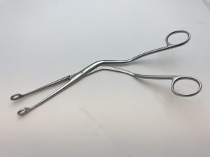 מלקחי מג'יל מבוגר