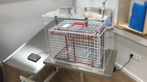 כלוב הרדמה גדול לבעלי חיים 50X35X41 ס"מ