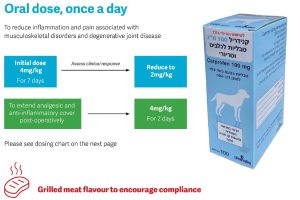 Canidryl Snap 100Mg 100Tabs For Dogs