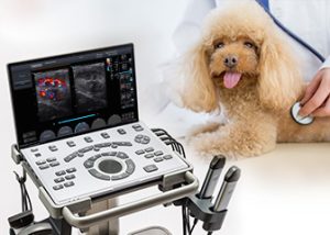 SONO AIR 70 vet + micro convex probe