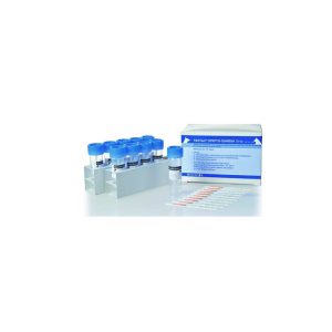 קריפטו ג'יארדיה FASTest CRYPTO-GIARDIA 10 test strip