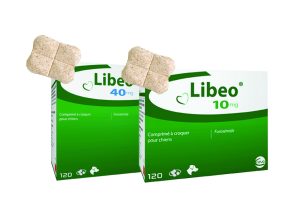 LIBEO 40MG 15X8T FUROSEMIDE 120 TAB